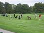 Golfsport-08