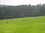 Golfsport-15