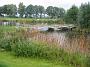 Golfsport-19