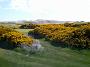 Golfsport-28