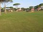 Golfsport-40